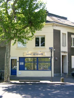 le cabinet vétérinaire ste-anne, 5 bis place lechat, 44100 Nantes, Drs Florence Travers et Bérénice Astorgis